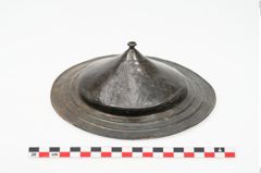 Foto von Bronzephalere (NHMW-PRAE-025079)